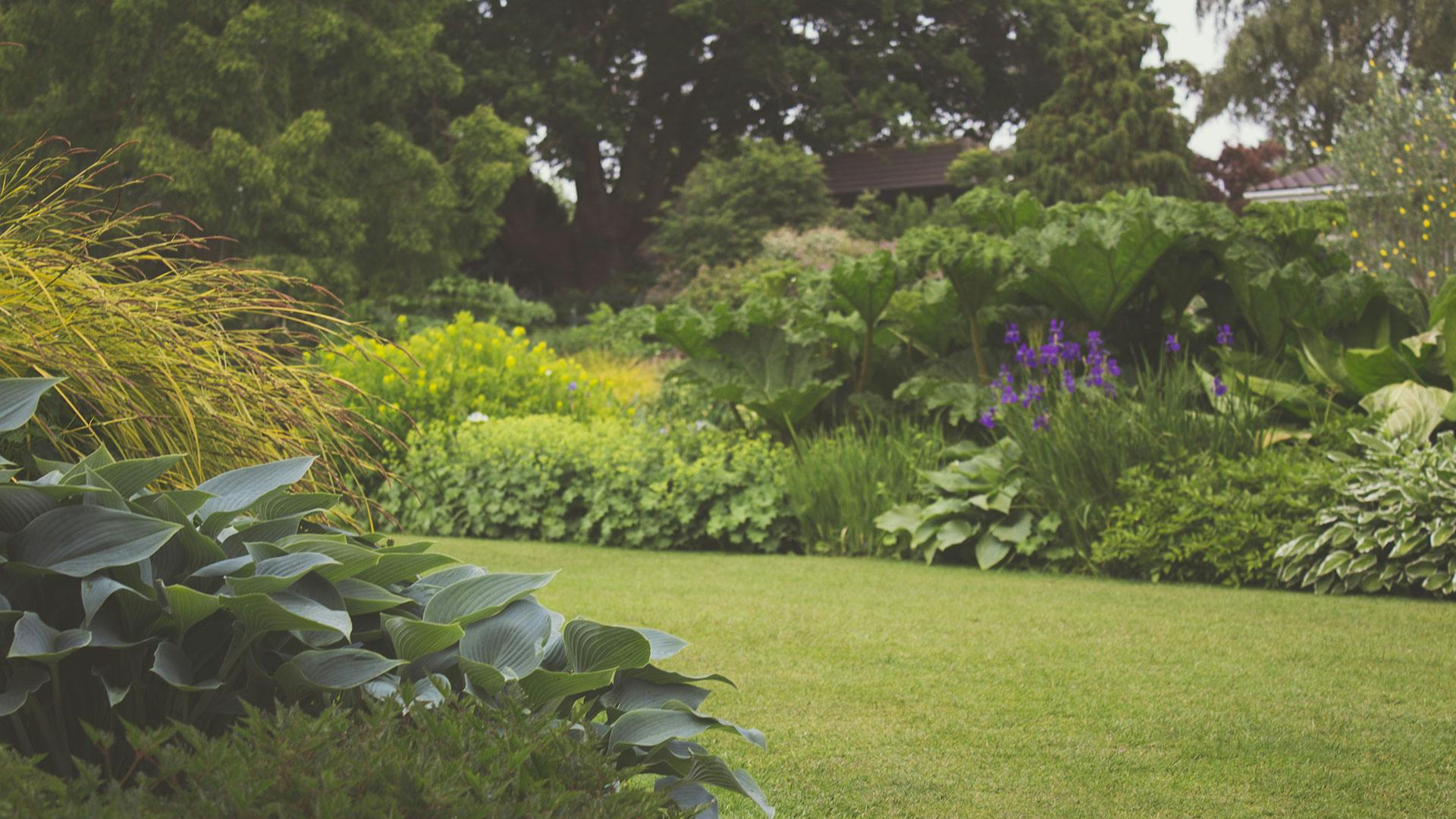 gartenpflege-garten-landschaftsbau-münster-bjarne-loose