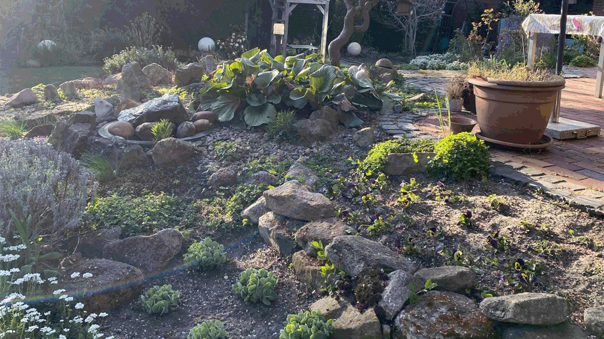 gartenpflege-garten-landschaftsbau-münster-bjarne-loose